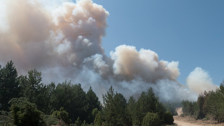 Силен пожар край Бургас, горят 10 дка сухи треви
