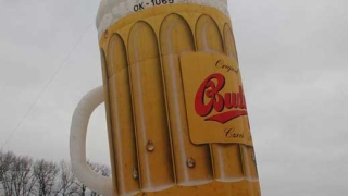 Чешкият Budweiser пред приватизация