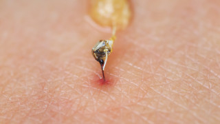 Единствените хора които трябва да избягват и да се страхуват