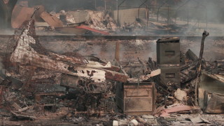 500 сгради изгоряха при пожара в Калифорния, 5 000 са застрашени