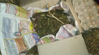 Наркотици боеприпаси и нелегален алкохол иззе полицията във Велико Търново