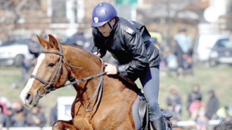 Изображение 640918