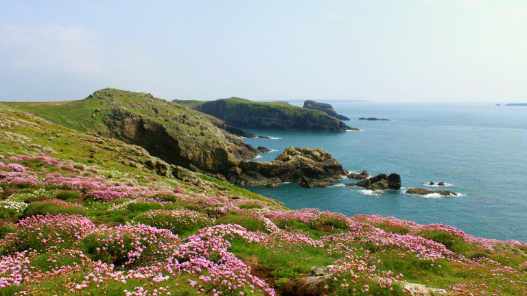 Красивият и далечен остров, на който можем да заживеем безплатно... ако сме съгласни да броим птици