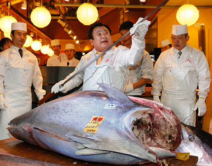 Платиха $1,7 млн. за риба тон в Япония