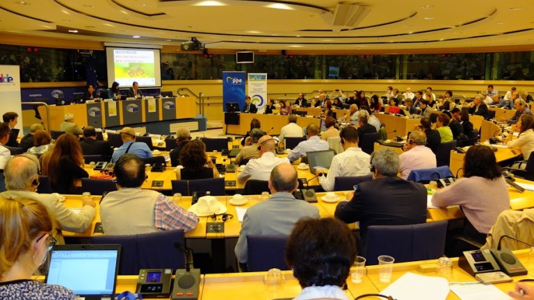 Изображение 301518