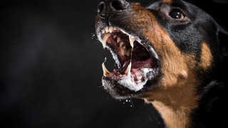 Надяваме се да не ни се случва никога но ако