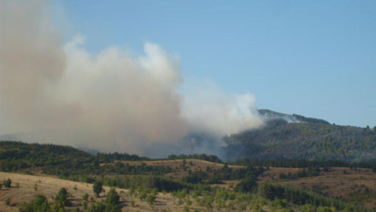 Изображение 121918