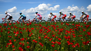 Асфалтът ли е виновен за големия инцидент на Giro d'Italia в България