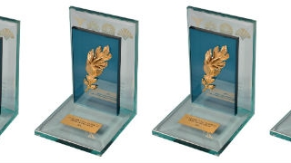 За 4-ти пореден път ДЗИ получи най-високото отличие в застрахователния бранш