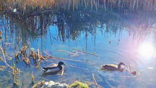 Столична община даде старт на проекта за възстановяване и подобряване