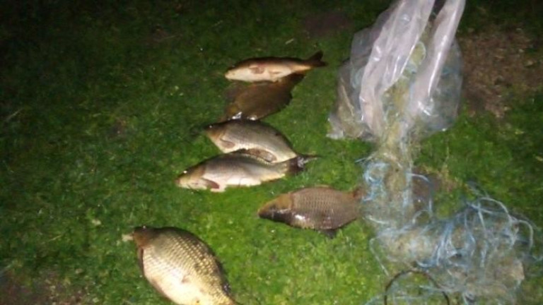 Изображение 613418