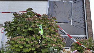 3 бебешки трупа откриха в гараж в холандски град
