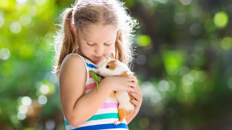 Изображение 453518