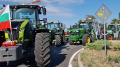 Аграрната камара иска защита на българския производител от вноса
