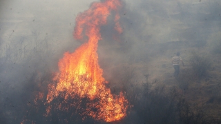 В Испания евакуираха над 1000 души заради горски пожари