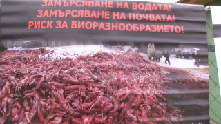 Граждани протестираха пред фермата за норки край старозагорското село Маджерито