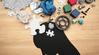 Мозъкът ни е една сложна машина която извършва десетки дейности