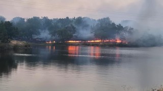 Пожар е избухнал в землището между селата Момино и Елена