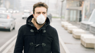 Оглупяваме ли от мръсния въздух