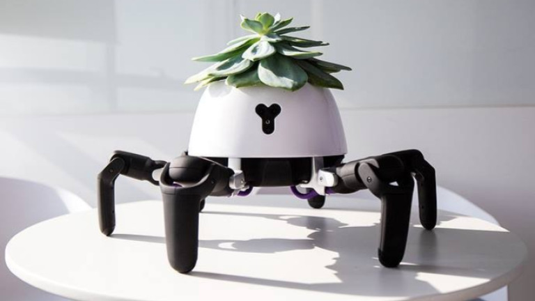 Роботът, който се грижи за цветята ни