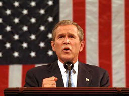 Буш: САЩ запазват силни позиции в Ирак 