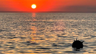 Морска мина вероятно руска или поне свързана с войната на