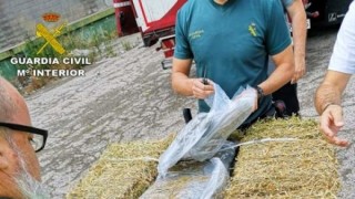 Испанската жандармерия конфискува 2 7 тона марихуана и задържа 25 души