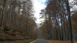 От 20 септември до 15 ноември се спира движението на