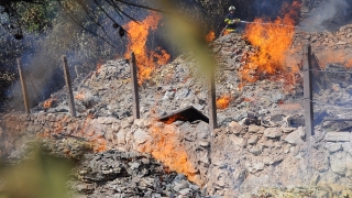 Пожар затрудни шофьорите край варненското село Каменар