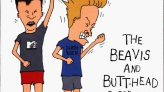 Коя е истинската Металика?