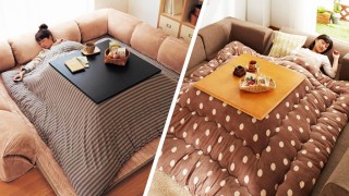 Когато зимата още не си е тръгнала а вкъщи 20 те