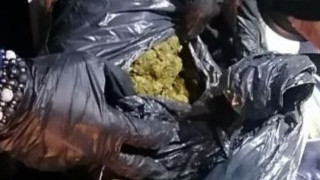 106 килограма марихуана са открити в ТИР на ферибота между