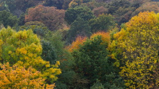 Ще духа слаб вятър с южна компонента Минималните температури ще