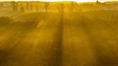 Жълт код за мъгла в 7 области