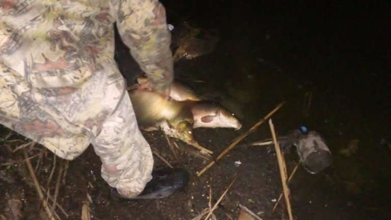 Изображение 613419