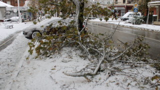 Събраха 385 тона счупени клони след снеговалежа в София