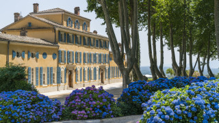 Корените на всяко истински добро вино трябва да се търсят