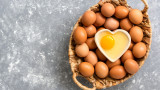Българите предпочитат по-скъпи яйца, но от щастливи кокошки