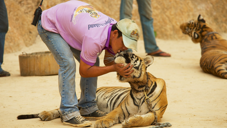 Може ли човек да зарази животно с коронавирус