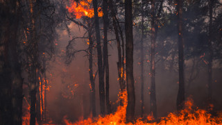 Големият пожар над Девин продължава на изпепелява гори Вчера стихията