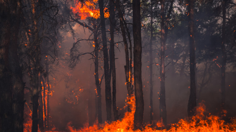 Големият пожар над Девин продължава на изпепелява гори. Вчера стихията