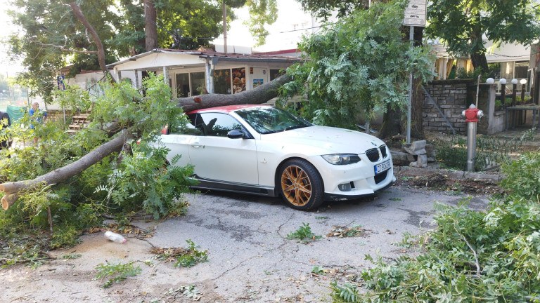 Изображение 585119