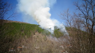 Горски пожар възникна над Благоевград