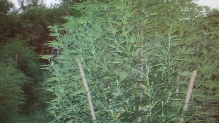 Изображение 306719