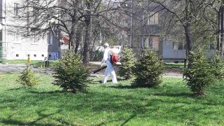 Пръскат срещу комари, кърлежи и гризачи в София