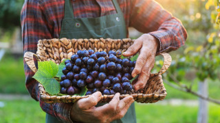 С богатата си природа Черно море и многобройните планини България