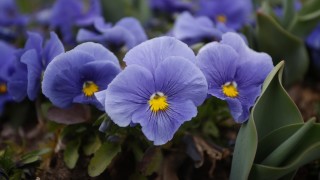 Топло преди да нахлуе студения фронт