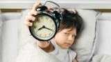 Дрямка, сън и защо понякога се събуждаме раздразнителни след дремване