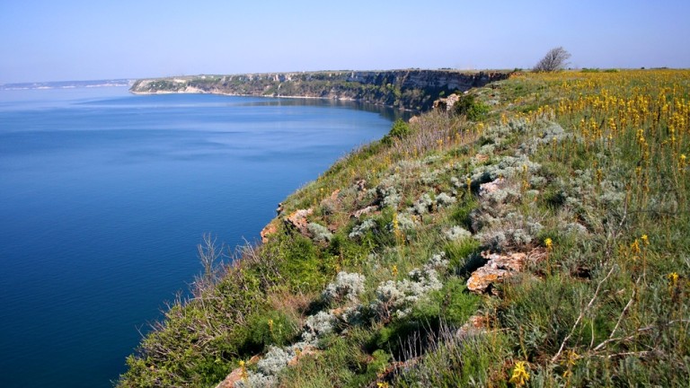 Изображение 307119