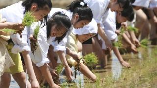 Официалният вестник на Северна Корея предупреди че разчитането на външна